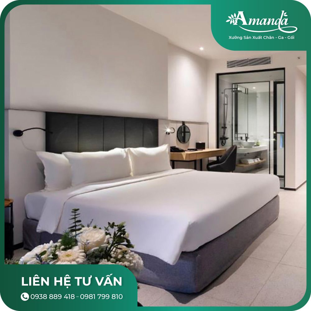 Bộ chăn ga gối khách sạn T400 trắng trơn
